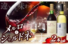 塩尻シャルドネ と塩尻メルロのセット（ 井筒ワイン・五一わいん） | お酒 酒 おさけ アルコール ワイン わいん 長野県 塩尻市