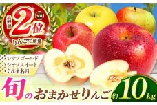 【先行予約】信州産 塩尻エールりんご！旬のおまかせりんご 約10kg(28～40玉)【9月中旬頃～発送予定】 シナノゴールド・シナノスイート・ぐんま名月から旬のりんごをお届け！ | 果物 くだもの フルーツ 林檎 りんご リンゴ シナノゴールド シナノスイート ぐんま名月 おまかせ  長野県 塩尻市