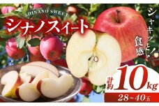 信州産 塩尻エールりんご！ シナノスイート 約10kg （28～ 40玉 ）【9月中旬頃～発送予定】| 果物 くだもの フルーツ 林檎 りんご リンゴ シナノスイート 長野県 塩尻市