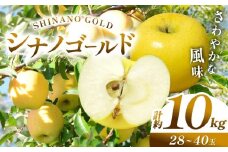 【先行予約】信州産 塩尻エールりんご！果汁たっぷり シナノゴールド 約10kg（ 28～40玉）【10月下旬頃～発送予定】| 果物 くだもの フルーツ 林檎 りんご リンゴ シナノゴールド 果実 アップル 長野県 塩尻市