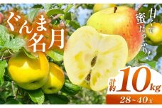 【先行予約】信州産 塩尻エールりんご！果汁たっぷり ぐんま名月 約10kg（28～40玉）【10月中旬頃～発送予定】| 果物 くだもの フルーツ 林檎 りんご リンゴ ぐんま名月 果実 アップル 長野県 塩尻市
