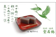 塩羊かん 紙箱入り 900g ｜ 塩羊かん 塩気 和菓子 しっかり食感 人気 塩尻市 長野県