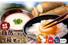しばた養鶏のたまごと長芋セット | 卵 たまご しばた養鶏 生卵 野菜 やさい ヤサイ 長芋 ながいも 長野県 塩尻市
