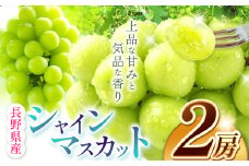 シャインマスカットセット | 果物 くだもの フルーツ ふるーつ 葡萄 ぶどう ブドウ シャイン マスカット 長野県 塩尻市
