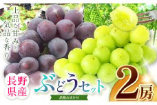 ぶどうセット | 果物 くだもの フルーツ ふるーつ 葡萄 ぶどう ブドウ 長野県 塩尻市