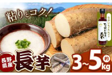 長芋とながいものたれセット | 野菜 やさい ヤサイ 長芋 ながいも 長野県 塩尻市
