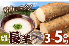 長芋 3~5kg | 野菜 やさい ヤサイ 長芋 ながいも 長野県 塩尻市
