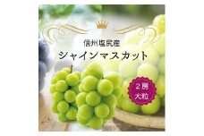 シャインマスカット 2房  (約1.3kg）（９月下旬より発送予定） | シャイン ぶどう 葡萄 ブドウ くだもの 果物 フルーツ マスカット しゃいん ますかっと 先行 先行予約 長野県 塩尻市