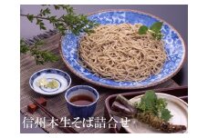 信州本生そば詰合せ【 蕎麦 生そば 自慢の本なま蕎麦 川上そば極 信州産石臼引きそば粉 麺・つゆ共に合成保存料、化学調味料等、一切不使用 本生ならではのコシ 長野県 佐久市 】