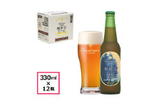〈プレミアム・ダーク〉 THE軽井沢ビール 12瓶 クラフトビール 地ビール 【 軽井沢ブルワリー 軽井沢ビール ビール びーる Bier 地ビール クラフトビール 瓶ビール 長野県 佐久市 】