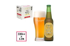 〈ダーク〉 THE軽井沢ビール 12瓶 クラフトビール 地ビール 【 軽井沢ブルワリー 軽井沢ビール ビール びーる Bier 地ビール クラフトビール 瓶ビール 長野県 佐久市 】