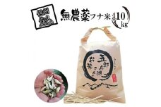 【令和7年産・白米10kg（農薬不使用米）】フナで育てた「五郎兵衛さんのお米」＜2025年10月初旬以降順次配送＞ 長野県 信州 先行予約 新米 こしひかり【五郎兵衛米 新米 米 コメ 白米 精米 お米 こめ おこめ 備蓄品 仕送り おすそ分け 備蓄米 コシヒカリ こしひかり 長野県 佐久市 】