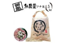 【令和7年産・白米5kg（農薬不使用米）】フナで育てた「五郎兵衛さんのお米」＜2025年10月初旬以降順次配送＞ 長野県 信州 先行予約 新米 こしひかり【五郎兵衛米 新米 米 コメ 白米 精米 お米 こめ おこめ 備蓄品 仕送り おすそ分け 備蓄米 コシヒカリ こしひかり 長野県 佐久市 】