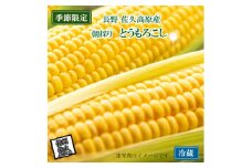 信州産とうもろこし 10本（2025年8月1日～9月10日出荷／北海道・沖縄・離島は配送不可）長野県 旬彩 野菜 コーン【ＪＡ佐久浅間　浅間山　八ヶ岳　千曲川　肥沃な大地　良質な農業生産 長野県 佐久市 】