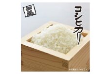 JA佐久浅間管内産　令和6年度産　コシヒカリ　約5kg　＜出荷開始：2024年10月28日～2024年11月30日まで＞【 強粘土　有機質の強い土壌　味・粘り・香りとバランスが良い 長野県 佐久市 】