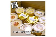 ちゃたまや 自家製たまごプリン6種10ヶセット プリン 【「浅間小町」をはじめ「名古屋コーチン」「うこっけい」「えるごらん命」などのたまごをたっぷりと使用 長野県 佐久市 おうちカフェ 】