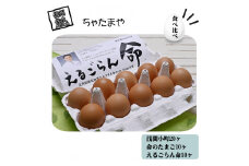 ちゃたまや 浅間小町 20ヶ と 命のたまご 10ヶ と えるごらん命 10ヶ 【 たまご 卵 玉子 ちゃたまや 「浅間小町」は長野県知事賞を受賞のたまご 発芽玄米育ちの「命のたまご」 赤鶏卵 コク 美味 濃厚 たまごかけごはん にも絶品 長野県 佐久市 】