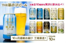【10ヶ月定期便】 THE軽井沢ビール 10種10缶 飲み比べ セット クラフトビール 地ビール 【 軽井沢ブルワリー THE軽井沢ビール 詰め合わせ 豪華 飲み比べ セット クラフトビール 地ビール 缶ビール ビール 飲み比べ 10本 ピルスナー デュンケル ヴァイスヴァイツェン アルト シュヴァルツビア ゴールデンエール 黒ビール ホワイトビール 長野県 佐久市 】