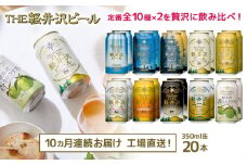 【10ヶ月定期便】 THE軽井沢ビール 10種20缶 飲み比べ セット クラフトビール 地ビール 【 軽井沢ブルワリー THE軽井沢ビール 詰め合わせ 豪華 飲み比べ セット クラフトビール 地ビール 缶ビール ビール 飲み比べ 20本 ピルスナー デュンケル ヴァイスヴァイツェン アルト シュヴァルツビア ゴールデンエール 黒ビール ホワイトビール 長野県 佐久市 】