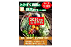【2026年先行予約・3ヶ月連続定期便】とみずく農園の夏野菜セット (北海道・沖縄県・離島は配送不可) 無農薬 高原野菜 旬 新鮮 詰合せ 【 産地直送 産直 季節の野菜 旬の野菜 有機野菜 有機栽培 農薬 化学肥料 不使用 長野県 佐久市 旬彩】
