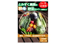 【5ヶ月連続定期便】とみずく農園の秋冬野菜セット (北海道・沖縄県・離島は配送不可) 無農薬 高原野菜 旬 新鮮 詰合せ 【 産地直送 産直 季節の野菜 旬の野菜 有機野菜 有機栽培 農薬 化学肥料 不使用 長野県 佐久市 旬彩】