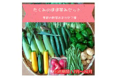 旬の野菜7種『たくみのほほ笑みセット』（2025年7～12月出荷／北海道・九州・沖縄県・離島は配送不可） 旬彩 長野県 信州 おまかせ 高原  産地直送 季節 詰合せ 有機 栽培