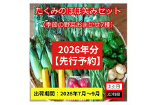 【3ヶ月定期便】旬の野菜7種『たくみのほほ笑みセット』（2026年7～9月出荷／北海道・九州・沖縄県・離島は配送不可） 旬彩 長野県 信州 おまかせ 高原  産地直送 季節 詰合せ 有機 栽培 先行予約