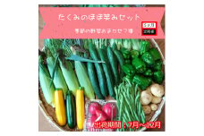 【5ヶ月定期便】旬の野菜7種『たくみのほほ笑みセット』（2025年7～12月出荷／北海道・九州・沖縄県・離島は配送不可） 旬彩 長野県 信州 おまかせ 高原  産地直送 季節 詰合せ 有機 栽培