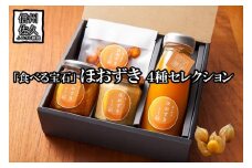 「食べる宝石」ほおずき４種セレクション(ジュース・ドライ・ジャム・チーズ)　濃厚　スーパーフード＜2025年4月1日出荷開始～2025年12月25日出荷終了＞【 鬼灯 ほおずき 長野県 佐久市 百笑農房 旬彩 】