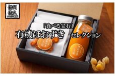 《有機JAS取得》「食べる宝石」ほおずき100％セレクション（ジュース×1・ドライ×3）　濃厚＜2025年4月1日出荷開始～2025年12月25日出荷終了＞【 鬼灯 ほおずき 長野県 佐久市 百笑農房 旬彩 】