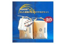 【令和六年産】がんも農場のお米おすそわけセット （白米）2㎏×2個【出荷開始：2024年10月～】【 コシヒカリ こしひかり 長野県 佐久市 】
