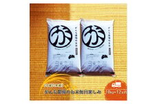 【令和六年産】定期便  がんも農場のお米毎月楽しみ（白米） 10kg×12ヵ月【出荷開始：2024年10月～】【白米 精米 こしひかり コシヒカリ 粘り気が強く甘みがあります がんも農場 お米 冷めても美味しい 長野県 佐久市 】