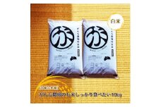 【令和六年産】がんも農場のお米しっかり食べたい10kg（白米）【出荷開始：2024年10月～】【白米 精米 こしひかり コシヒカリ 粘り気が強く甘みがあります がんも農場 お米 冷めても美味しい 長野県 佐久市 】