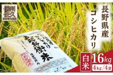 【令和7年産・白米16kg（4kg×4袋）】 特別栽培米　五郎兵衛米 〈2025年9月中旬頃～順次発送〉 先行予約　新米　信州　こしひかり【 コシヒカリ お米 新米予約 長野県 佐久市 】