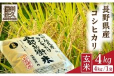 【令和7年産・玄米4kg】 特別栽培米　五郎兵衛米〈2025年9月中旬頃～順次発送〉 先行予約　新米　信州　こしひかり【 コシヒカリ お米 新米予約 長野県 佐久市 】