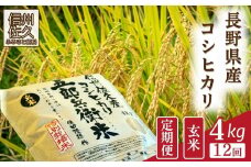 【令和7年産・玄米4kg×12カ月定期便】特別栽培米　五郎兵衛米 〈2025年9月中旬頃～順次発送〉 先行予約　新米　信州　こしひかり【 コシヒカリ お米 新米予約 長野県 佐久市 】