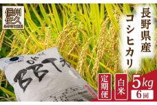 【令和7年産・白米5kg×6カ月定期便】　特別栽培米　BBT米（五郎兵衛米） 〈2025年9月中旬頃～順次発送〉 先行予約　新米　信州　こしひかり【 コシヒカリ お米 新米予約 長野県 佐久市 】