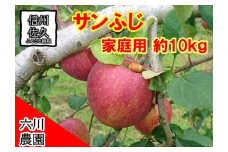 長野県産 サンふじ りんご 家庭用 約10kg （28～50玉）〈2025年12月出荷分／北海道・沖縄県・離島は配送不可〉信州 果物 旬彩 先行予約 季節限定【 当園にて愛情たっぷりに育てたりんご 長野県 佐久市 旬彩 】