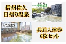 信州佐久【布施温泉・春日温泉もちづき荘】共通入浴券6枚セット【 体験・チケット 長野県 佐久市 】