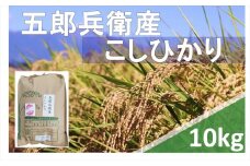 【令和6年産】長野県浅科五郎兵衛産　こしひかり・白米10kg　（北海道・沖縄・離島は配送不可）【米 コメ 白米 精米 お米 こめ おこめ 備蓄品 仕送り おすそ分け 備蓄米 コシヒカリ こしひかり 長野県 佐久市 】