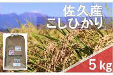 【令和6年産】長野県佐久平産　こしひかり・白米5kg　（北海道・沖縄・離島は配送不可）【米 コメ 白米 精米 お米 こめ おこめ 備蓄品 仕送り おすそ分け 備蓄米 コシヒカリ こしひかり 長野県 佐久市 】