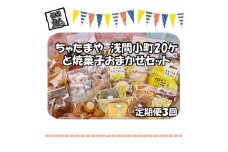 【定期便3回】 ちゃたまや　浅間小町20ヶと焼菓子おまかせセット【 たまご ちゃたまや 「浅間小町」は長野県知事賞を受賞のたまご 長野県 佐久市 】