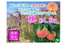 【先行予約】長野県 標高700m育ちの桃 約1.8kg（中玉・大玉）＜2025年8月1日～17日出荷／北海道・沖縄・離島は配送不可＞信州　果物　旬彩　期間限定【 フルーツ もも 長野県 佐久市 旬彩 】