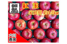 長野県産 紅玉 りんご 家庭用 約4.5kg （18～28玉）〈2025年10月出荷分／北海道・沖縄県・離島は配送不可〉 信州 果物 旬彩 先行予約 季節限定【 当園にて愛情たっぷりに育てたりんご 長野県 佐久市 旬彩 】