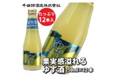信州佐久　果実酒 千曲錦　果実感溢れるゆず酒　250ml×12本セット【 酒 さけ 長野県 佐久市 】