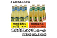 信州佐久　果実酒　千曲錦　果実感溢れるリキュール　250ml2種×各6本　計12本飲み比べセット