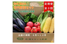 【定期便3回】朝採れおまかせ旬の高原野菜7種セット（出荷時期 : 2025年6月～12月／北海道・沖縄県・離島は配送不可） |  信州 栽培期間中 無農薬 産地直送 産直 季節 旬  岩渕なないろ農園 旬彩 