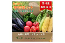 【産地直送・新鮮】朝採れおまかせ旬の高原野菜 7種セット (出荷時期 : 2025年6月～12月／北海道・沖縄県・離島は配送不可) 　|  信州 栽培期間中 無農薬  産直 季節 旬  岩渕なないろ農園 旬彩 