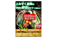 【2026年先行予約・6回定期便】とみずく農園の季節の野菜セット（北海道・沖縄県・離島は配送不可）無農薬 高原野菜 旬 新鮮 詰合せ 【 産地直送 産直 季節の野菜 旬の野菜 有機野菜 有機栽培 農薬 化学肥料 不使用 長野県 佐久市 旬彩】