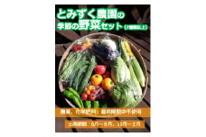 とみずく農園の季節の野菜セット【単品】(北海道・沖縄県・離島は配送不可)  無農薬 高原野菜 旬 新鮮 詰合せ 【 産地直送 産直 季節の野菜 旬の野菜 有機野菜 有機栽培 農薬 化学肥料 不使用 長野県 佐久市 旬彩】